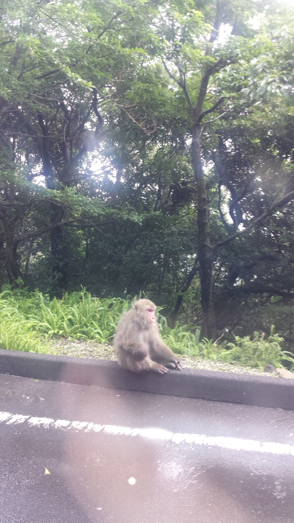 f:id:hynm_ihara:20150627151720j:plain f:id:hynm_ihara:20150627151720j:plain