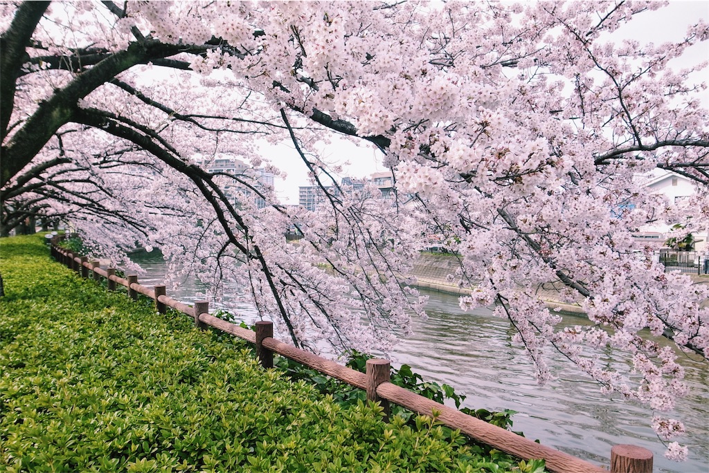 f:id:hynm_kaneko:20160403210104j:image f:id:hynm_kaneko:20160403210104j:image