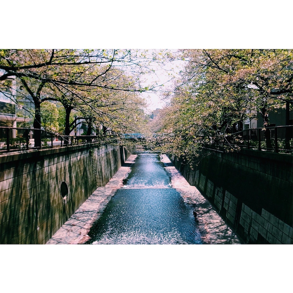 f:id:hynm_kaneko:20160412211810j:image f:id:hynm_kaneko:20160412211810j:image