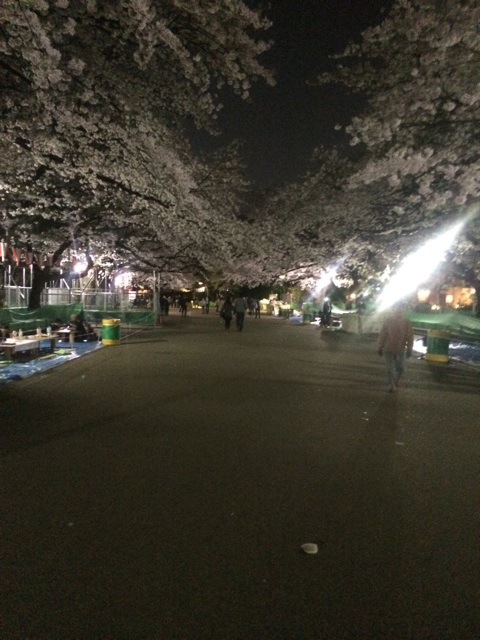 f:id:hynm_masuda:20140406085100j:plain f:id:hynm_masuda:20140406085100j:plain