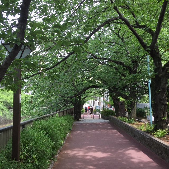 f:id:hynm_matsui:20150507020440j:image f:id:hynm_matsui:20150507020440j:image