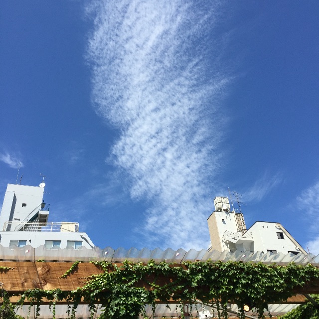 f:id:hynm_matsui:20150604232737j:image f:id:hynm_matsui:20150604232737j:image