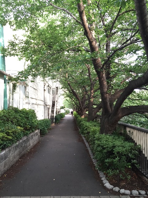 f:id:hynm_matsui:20150608175728j:image f:id:hynm_matsui:20150608175728j:image