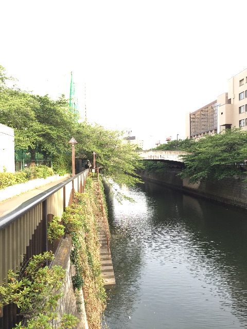 f:id:hynm_matsui:20150608175800j:image f:id:hynm_matsui:20150608175800j:image