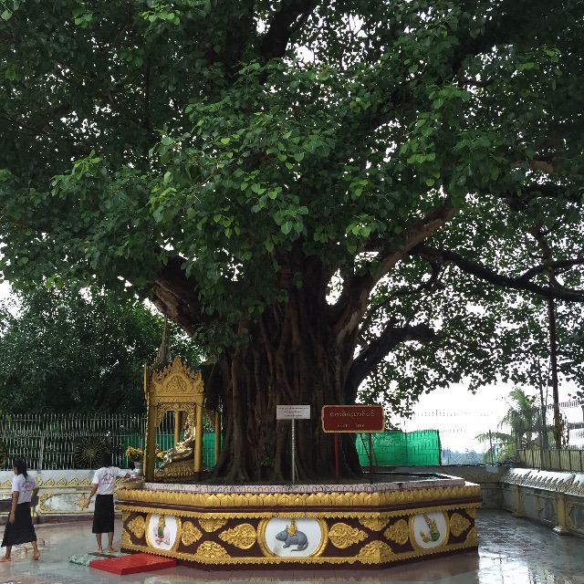 f:id:hynm_matsui:20150618003859j:image f:id:hynm_matsui:20150618003859j:image