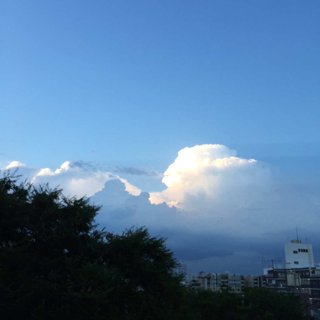 f:id:hynm_matsui:20150812002117j:image f:id:hynm_matsui:20150812002117j:image