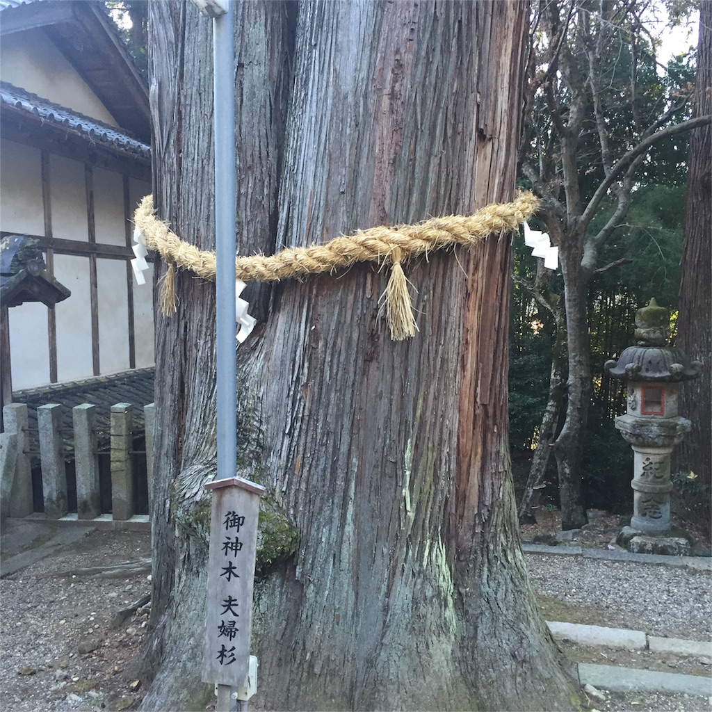 f:id:hynm_matsui:20160102172201j:image f:id:hynm_matsui:20160102172201j:image