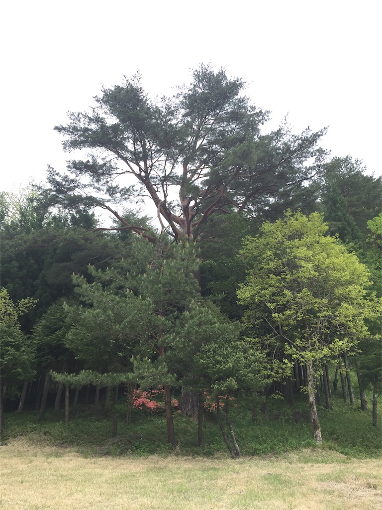 f:id:hynm_matsui:20160515021439j:image f:id:hynm_matsui:20160515021439j:image