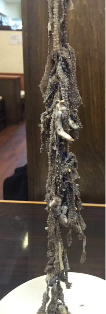 f:id:hynm_moribe:20151229161251j:image f:id:hynm_moribe:20151229161251j:image