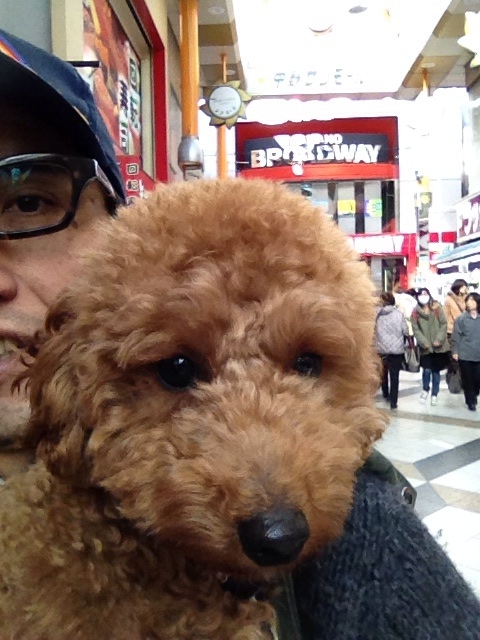 f:id:hynm_moriyama:20140123174940j:plain f:id:hynm_moriyama:20140123174940j:plain