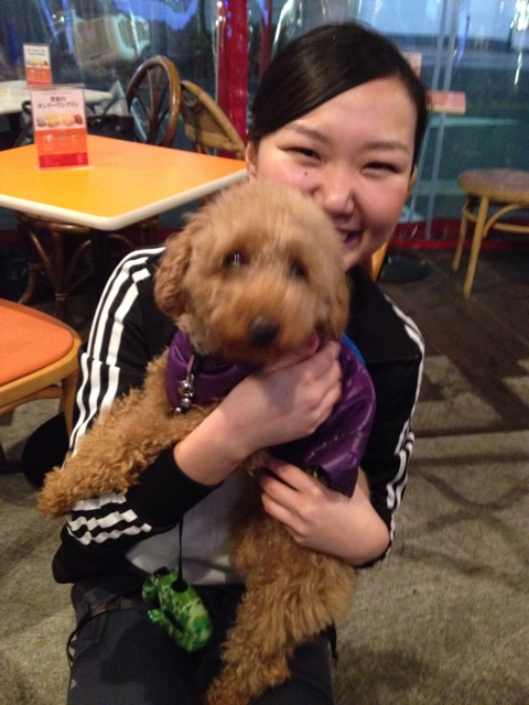 f:id:hynm_moriyama:20150131205524j:plain f:id:hynm_moriyama:20150131205524j:plain