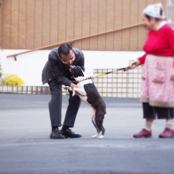f:id:hynm_moriyama:20151030165519j:plain f:id:hynm_moriyama:20151030165519j:plain