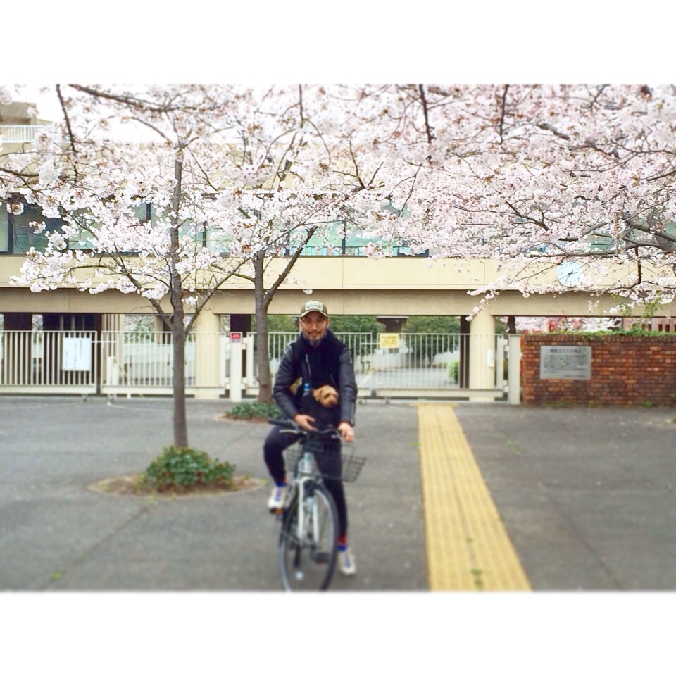 f:id:hynm_moriyama:20160402220813j:plain f:id:hynm_moriyama:20160402220813j:plain