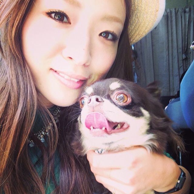 f:id:hynm_nojiri:20140517144358j:plain f:id:hynm_nojiri:20140517144358j:plain