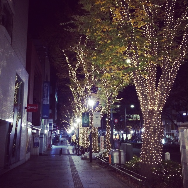 f:id:hynm_ogasawara:20141211174937j:plain f:id:hynm_ogasawara:20141211174937j:plain