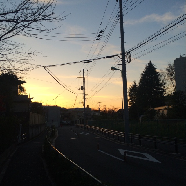 f:id:hynm_ogasawara:20141211175405j:plain f:id:hynm_ogasawara:20141211175405j:plain