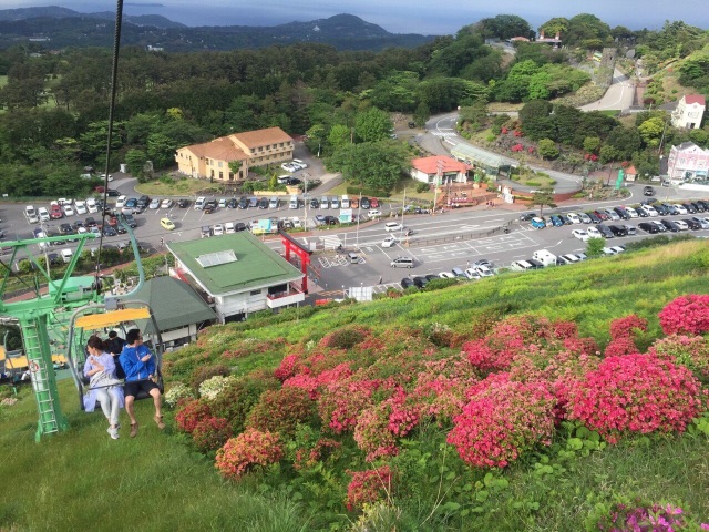 f:id:hynm_ogasawara:20150512001933j:image f:id:hynm_ogasawara:20150512001933j:image