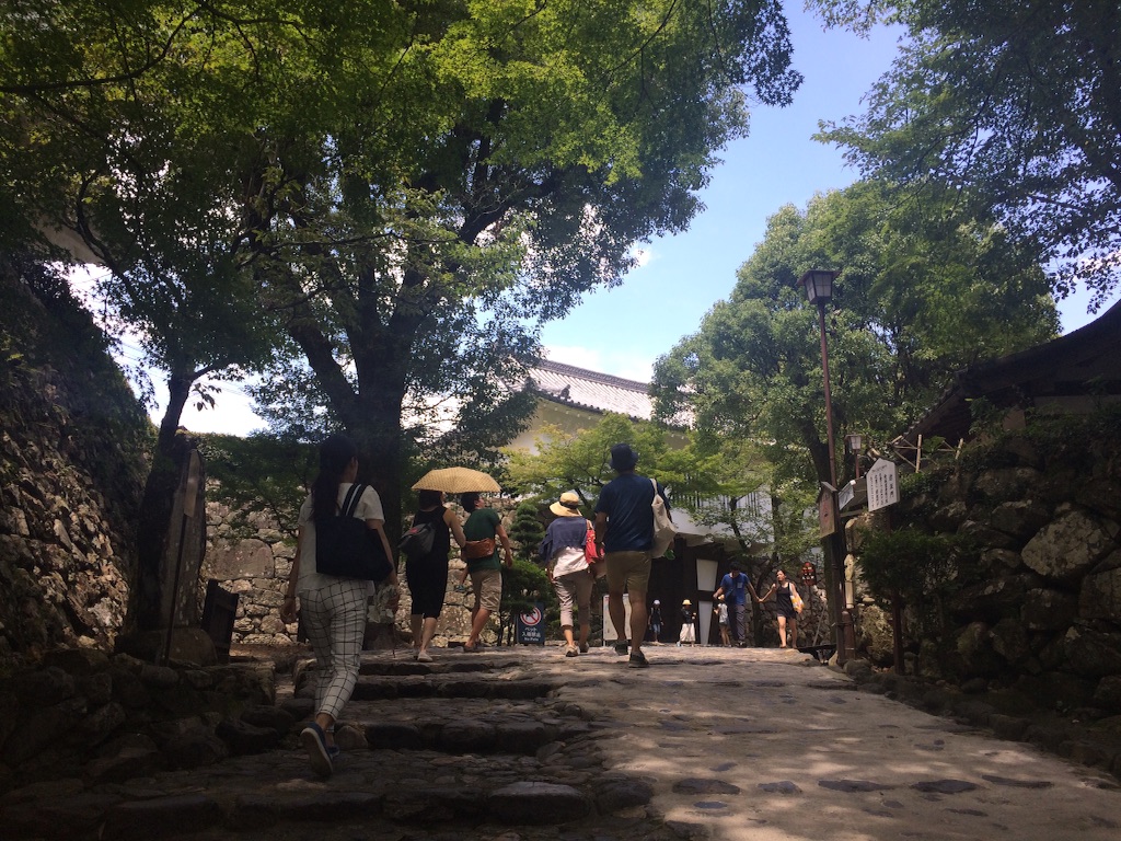 f:id:hynm_ogasawara:20150727152729j:image f:id:hynm_ogasawara:20150727152729j:image