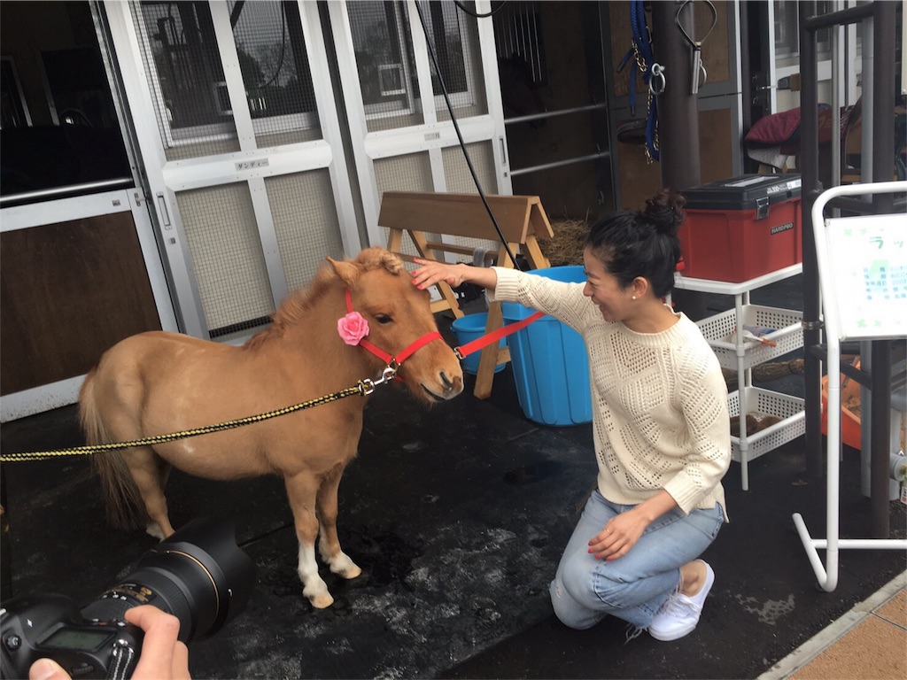 f:id:hynm_ogasawara:20160403172535j:image f:id:hynm_ogasawara:20160403172535j:image