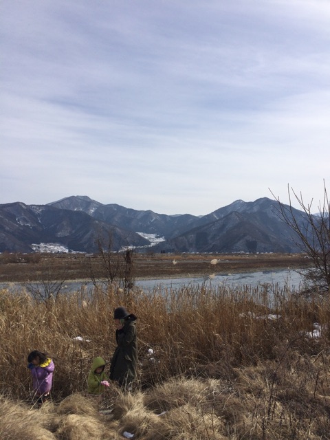 f:id:hynm_takeuchi:20150212133209j:plain f:id:hynm_takeuchi:20150212133209j:plain
