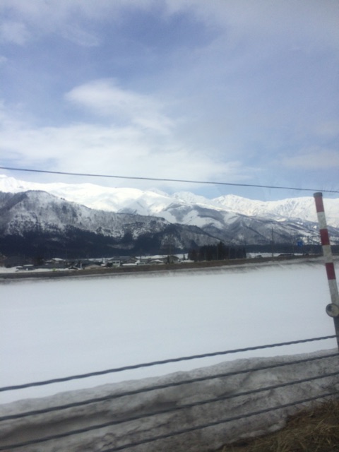 f:id:hynm_takeuchi:20150308181535j:plain f:id:hynm_takeuchi:20150308181535j:plain