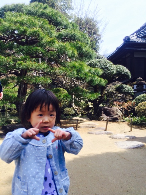 f:id:hynm_takeuchi:20150412193443j:plain f:id:hynm_takeuchi:20150412193443j:plain