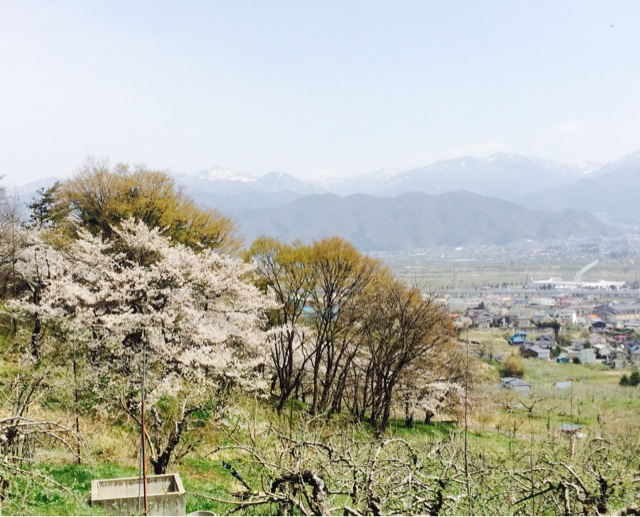 f:id:hynm_takeuchi:20150418235124j:plain f:id:hynm_takeuchi:20150418235124j:plain