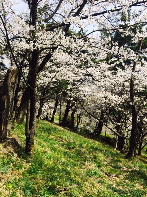 f:id:hynm_takeuchi:20150418235138j:plain f:id:hynm_takeuchi:20150418235138j:plain