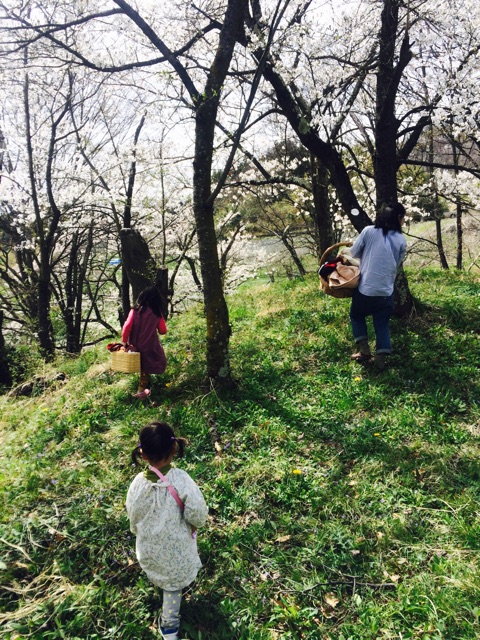 f:id:hynm_takeuchi:20150418235156j:plain f:id:hynm_takeuchi:20150418235156j:plain