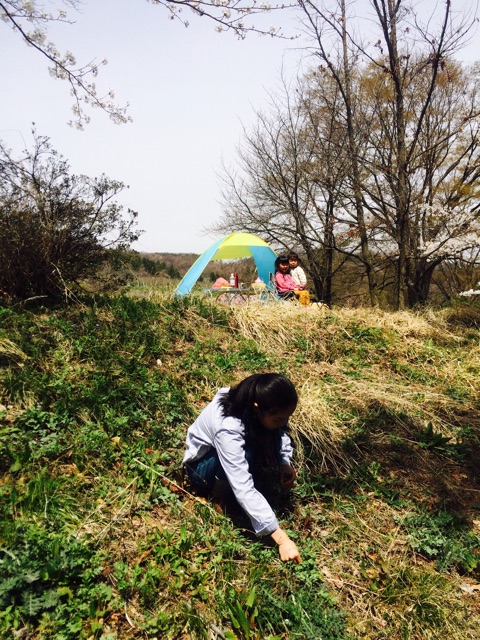 f:id:hynm_takeuchi:20150418235557j:plain f:id:hynm_takeuchi:20150418235557j:plain