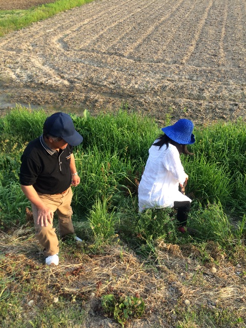 f:id:hynm_takeuchi:20150503003019j:image f:id:hynm_takeuchi:20150503003019j:image