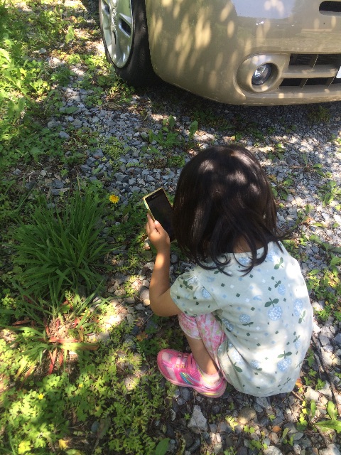 f:id:hynm_takeuchi:20150714193121j:image f:id:hynm_takeuchi:20150714193121j:image