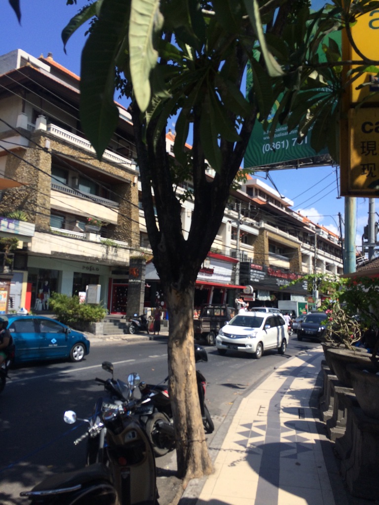 f:id:hynm_takeuchi:20150823165910j:image f:id:hynm_takeuchi:20150823165910j:image