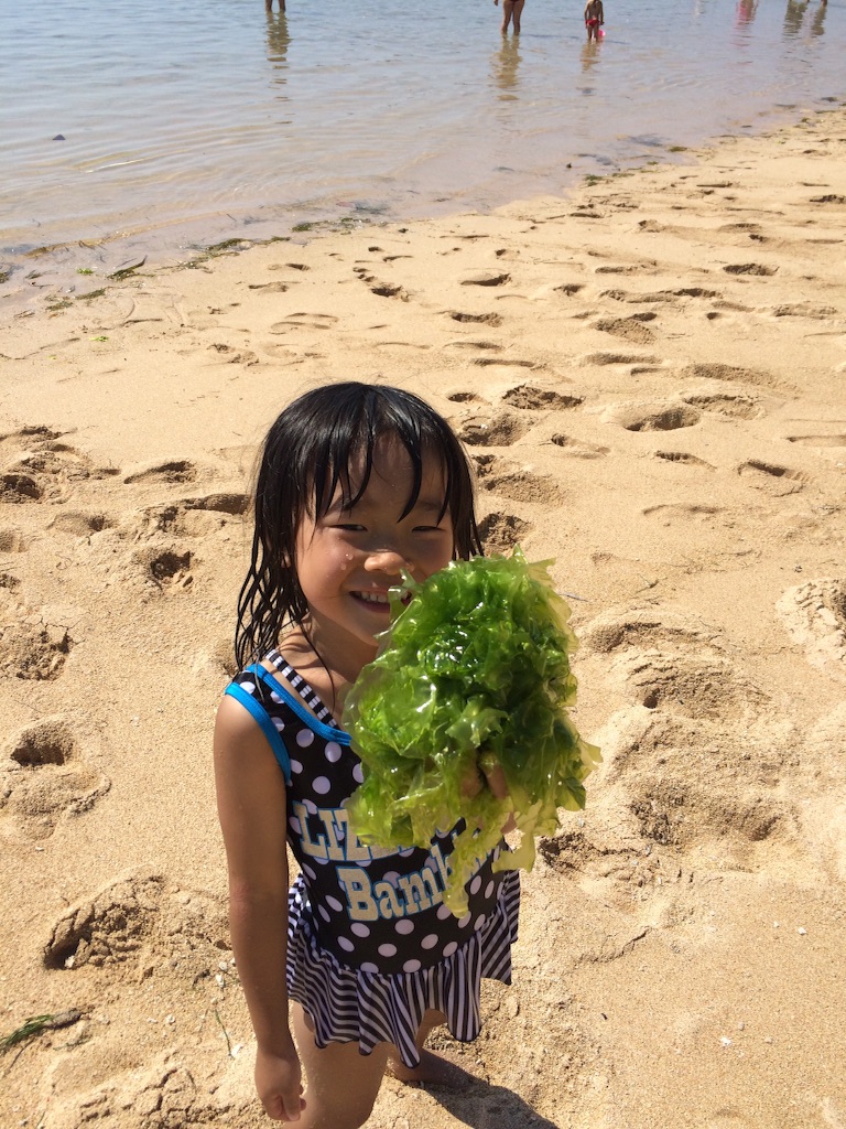 f:id:hynm_takeuchi:20150824081310j:image f:id:hynm_takeuchi:20150824081310j:image