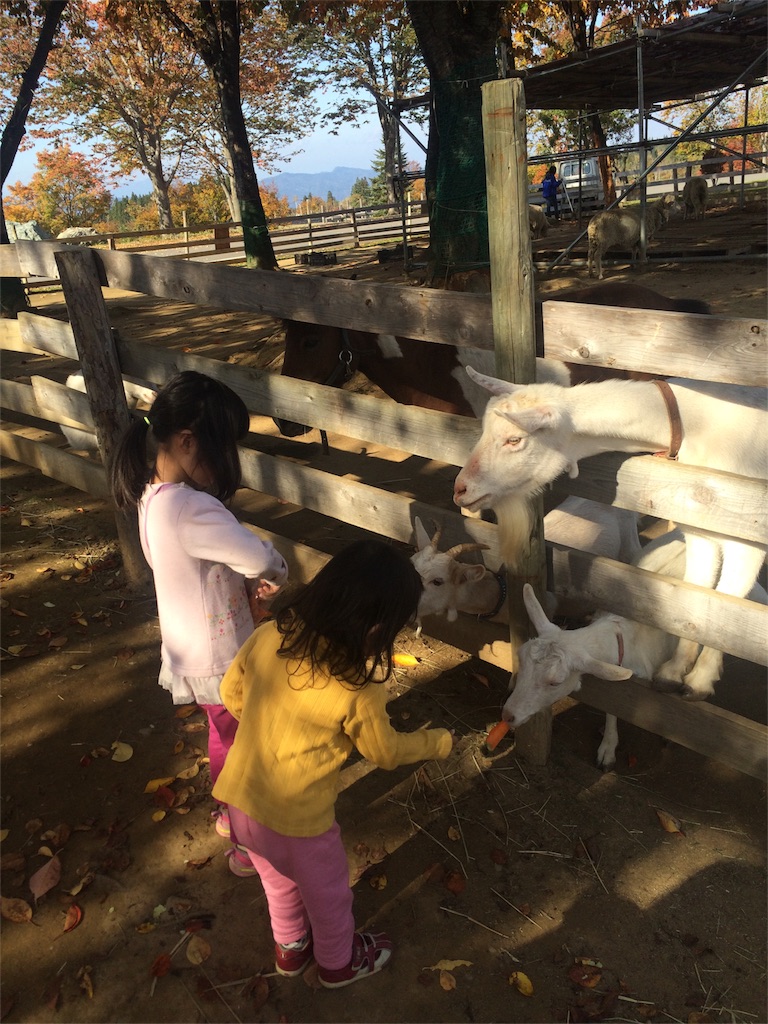 f:id:hynm_takeuchi:20151020213138j:image f:id:hynm_takeuchi:20151020213138j:image