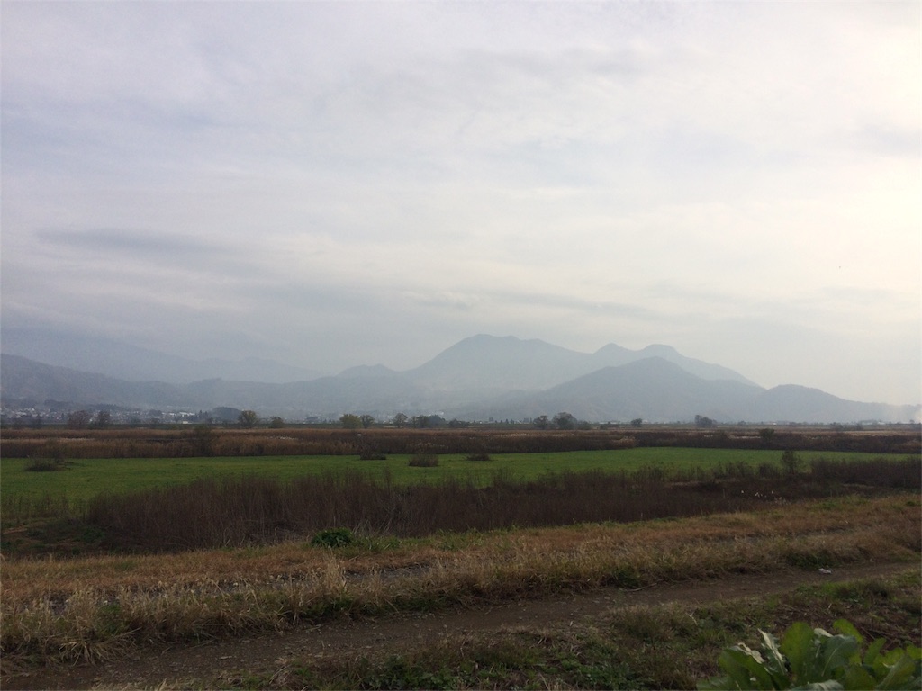 f:id:hynm_takeuchi:20151122204701j:image f:id:hynm_takeuchi:20151122204701j:image