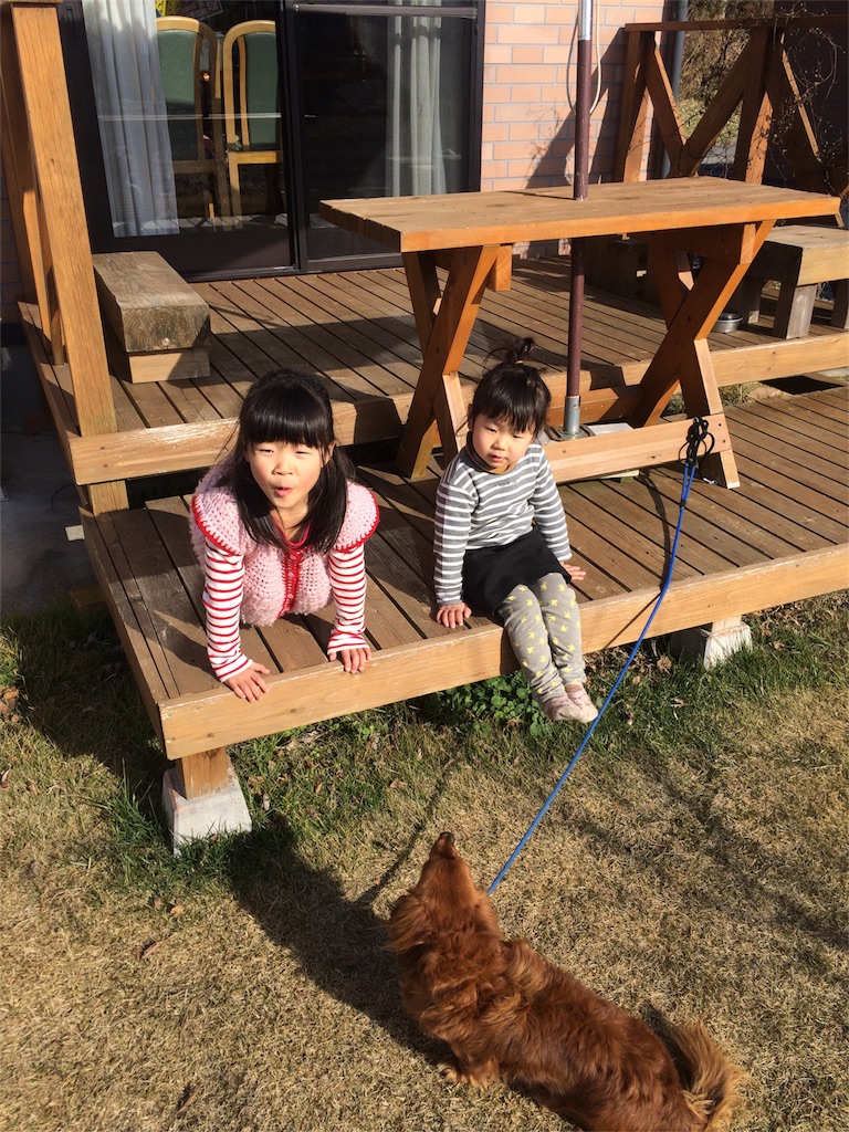 f:id:hynm_takeuchi:20160101151534j:image f:id:hynm_takeuchi:20160101151534j:image