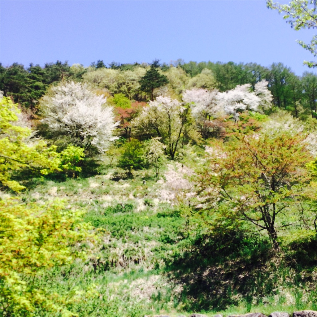 f:id:hynm_takeuchi:20160423154315j:image f:id:hynm_takeuchi:20160423154315j:image