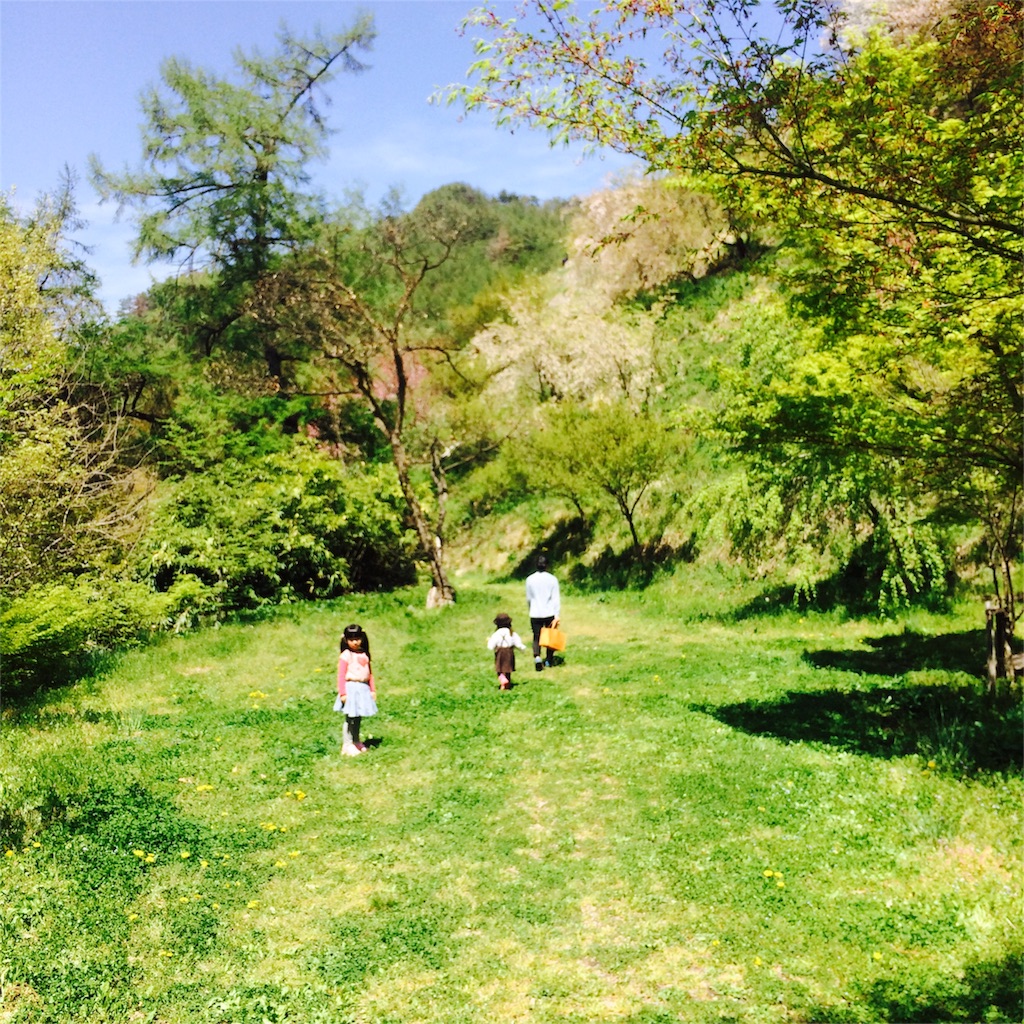 f:id:hynm_takeuchi:20160423154328j:image f:id:hynm_takeuchi:20160423154328j:image