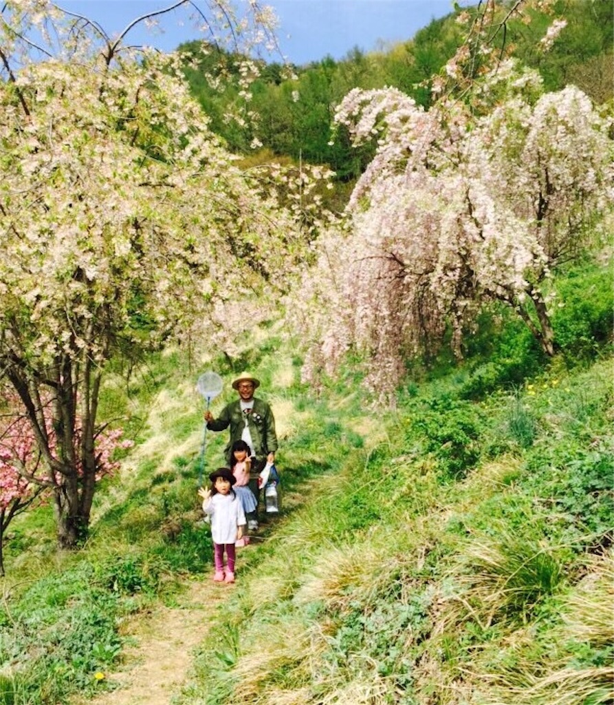 f:id:hynm_takeuchi:20160423173818j:image f:id:hynm_takeuchi:20160423173818j:image