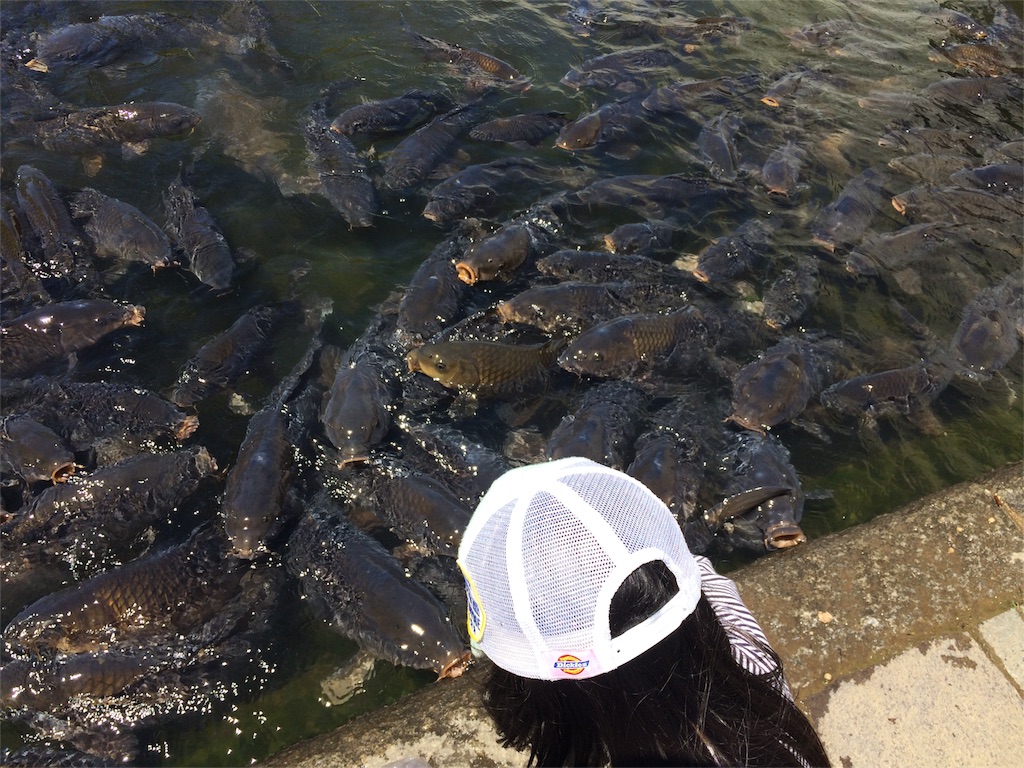 f:id:hynm_takeuchi:20160508233730j:image f:id:hynm_takeuchi:20160508233730j:image