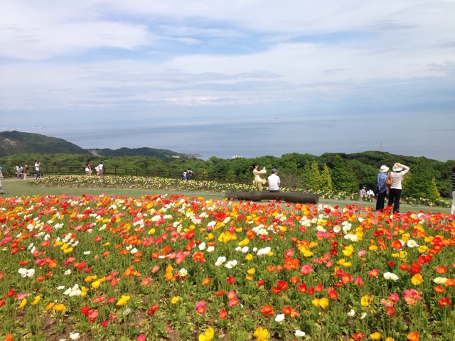 f:id:hyodohuhu:20150507214939j:plain f:id:hyodohuhu:20150507214939j:plain