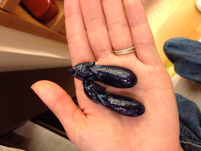 f:id:hyodohuhu:20150721081054j:plain f:id:hyodohuhu:20150721081054j:plain