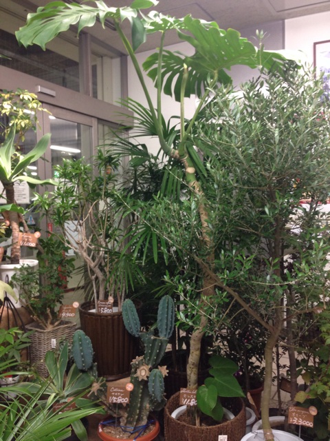 f:id:hyodohuhu:20151018060945j:plain f:id:hyodohuhu:20151018060945j:plain