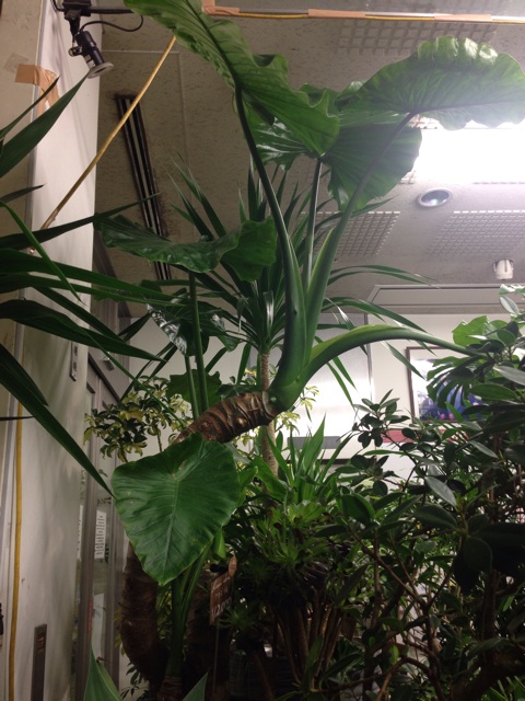 f:id:hyodohuhu:20151018061022j:plain f:id:hyodohuhu:20151018061022j:plain