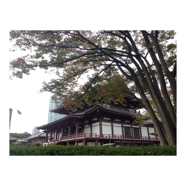 f:id:hyodohuhu:20151102183943j:plain f:id:hyodohuhu:20151102183943j:plain