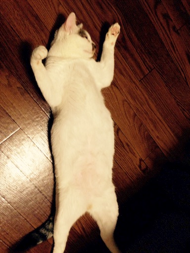 f:id:i-sumomo:20150923195811j:image f:id:i-sumomo:20150923195811j:image