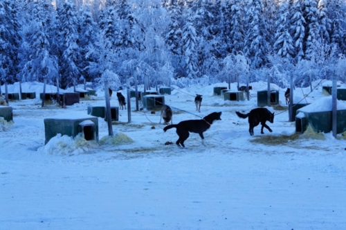 f:id:i3valley:20150728140300j:plain f:id:i3valley:20150728140300j:plain