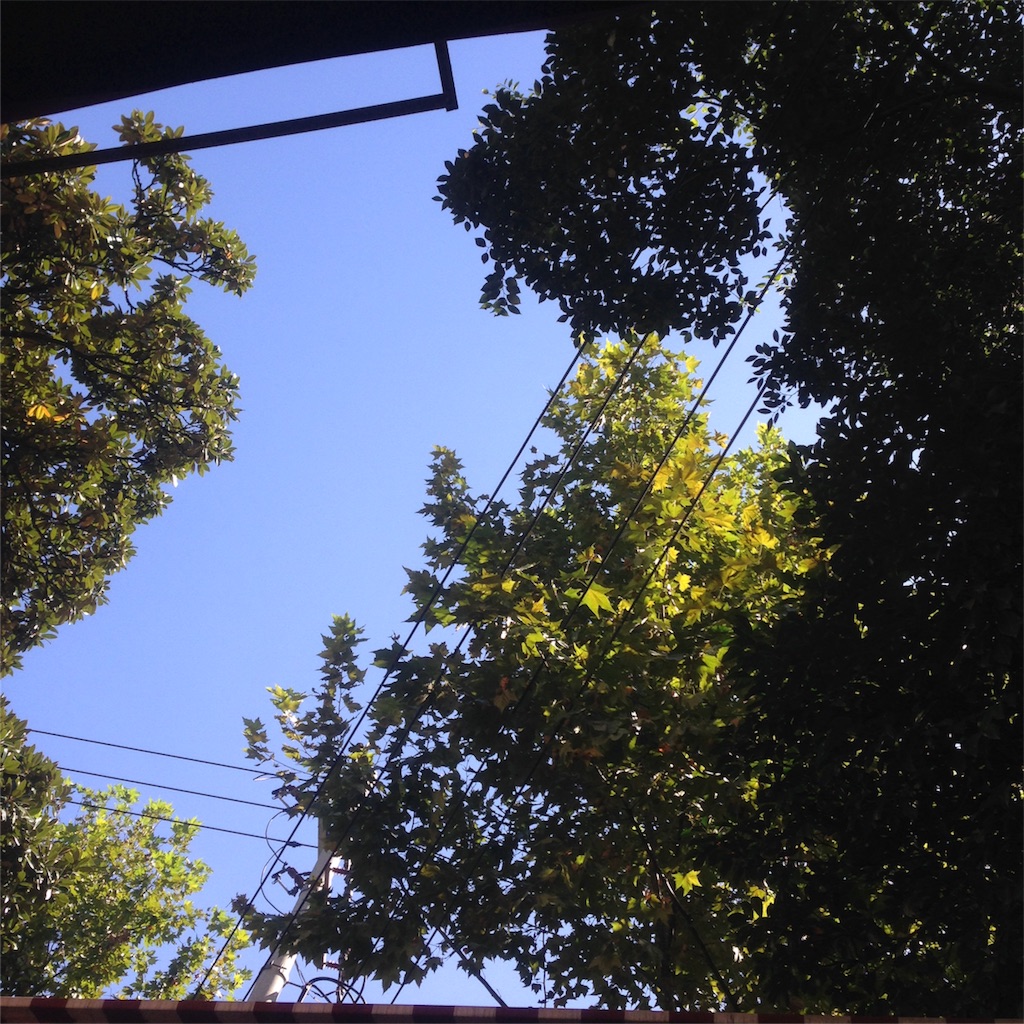 f:id:i_29_m:20151024203532j:image f:id:i_29_m:20151024203532j:image