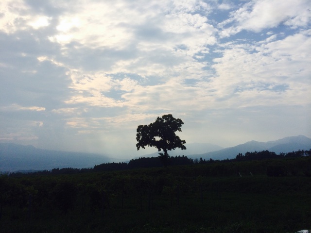 f:id:ibaya:20140823191500j:plain f:id:ibaya:20140823191500j:plain